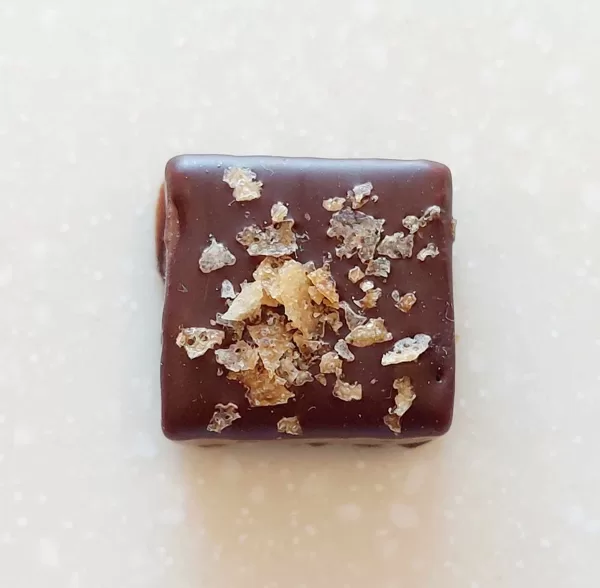 Feuilletine (chocolat noir ou lait)