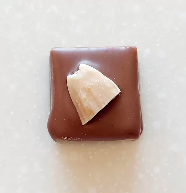 Amande (chocolat noir ou lait)